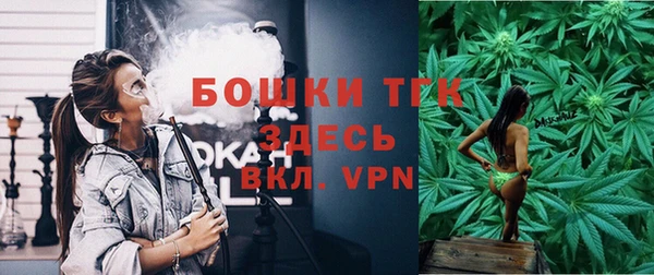 тгк Горняк